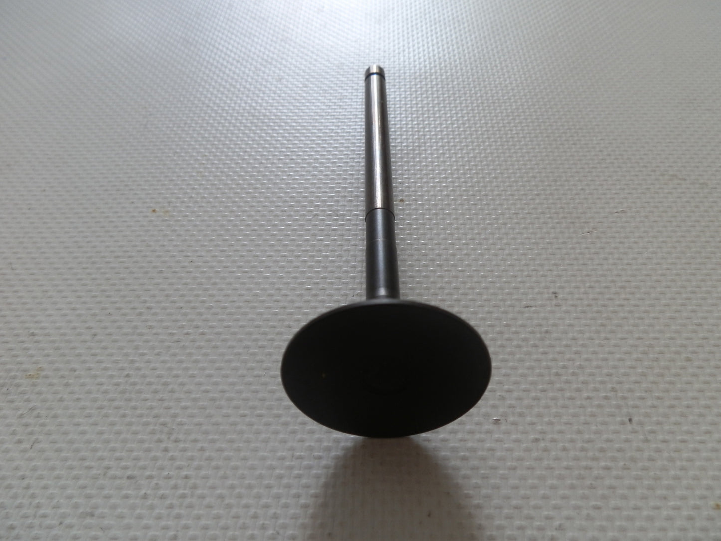 Válvula Admisión Original para Coaster