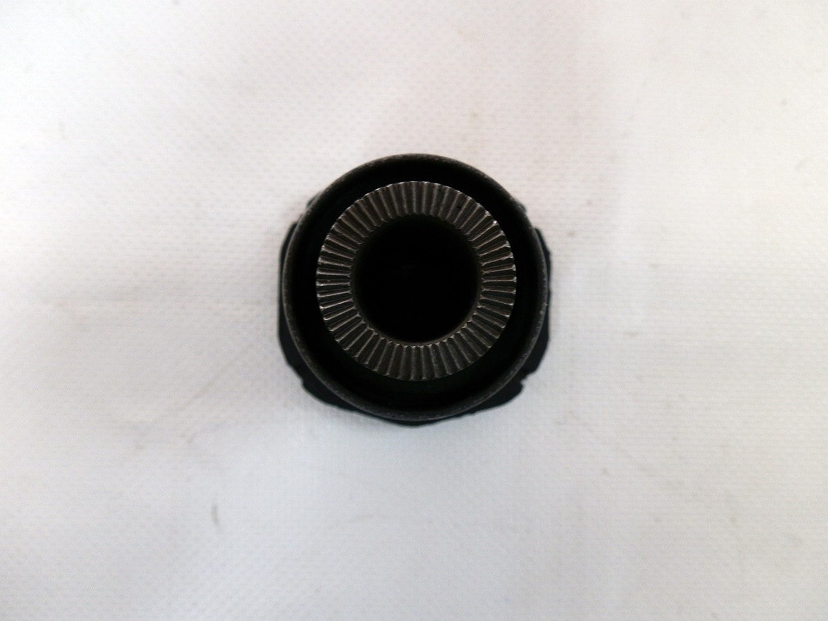 BUJE PEQUEÑO MESETA INFERIOR RORAIMA TUNDRA SEQUOIA