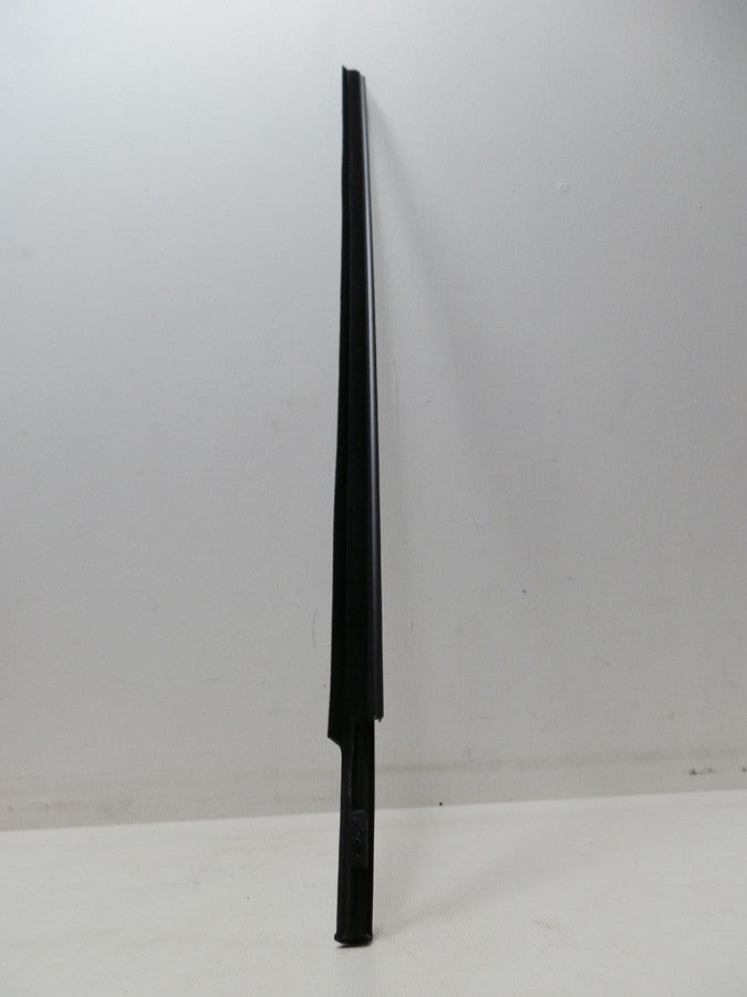 CEPILLO LAMEVIDRIO EXTERNO PUERTA DELANTERA IZQUIERDA 4RUNNER 03-08