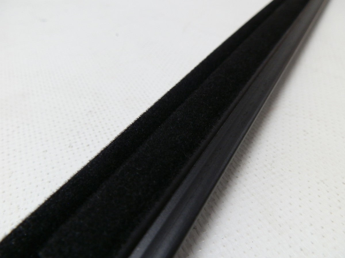 CEPILLO LAMEVIDRIO EXTERNO PUERTA DELANTERA IZQUIERDA 4RUNNER 03-08