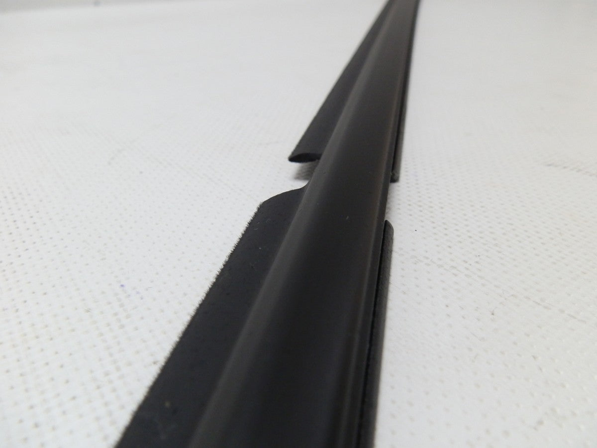 CEPILLO LAMEVIDRIO EXTERNO PUERTA TRASERA DERECHA 4RUNNER 03-08