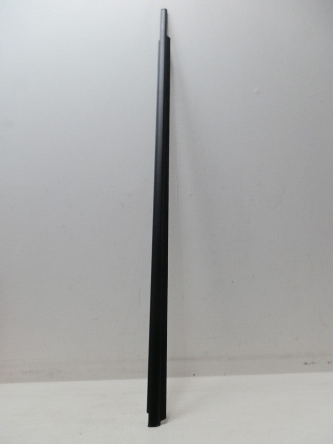 CEPILLO LAMEVIDRIO EXTERNO PUERTA DELANTERA DERECHA 4RUNNER 03-08