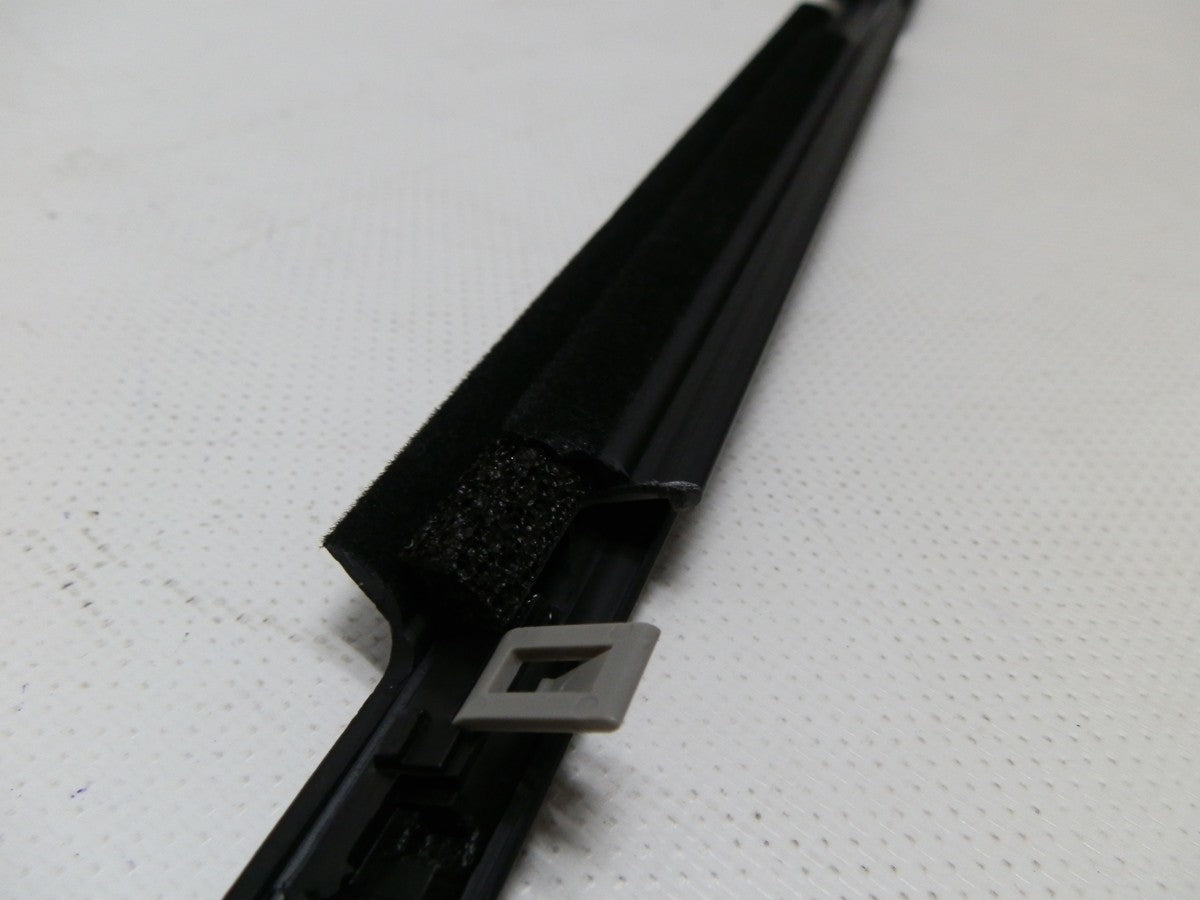 CEPILLO LAMEVIDRIO EXTERNO PUERTA TRASERA IZQUIERDA 4RUNNER 03-08