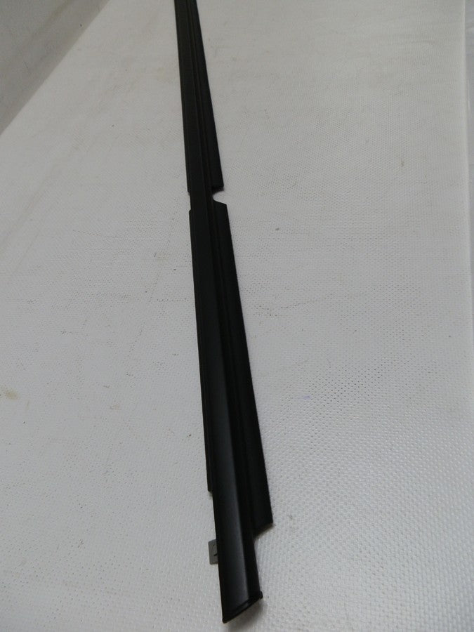 CEPILLO LAMEVIDRIO EXTERNO PUERTA TRASERA IZQUIERDA 4RUNNER 03-08